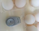 濃いだしで作る！めっちゃうまい半熟味玉！作り方10写真