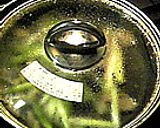 コクのあるポン酢味　アスパラと豚肉炒め作り方4写真