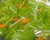 水菜+油揚げでシャキシャキサラダ作り方2写真