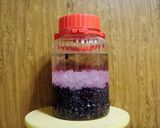 ハスカップ♪いろいろ作り方14写真