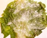 冷たくしても美味しい~♪ロールレタス作り方1写真