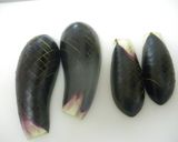簡単 ナス煮びたし ばばの味作り方1写真