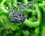 ゴーヤ塩昆布和え作り方14写真