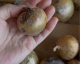 オニオンスープ作り方1写真