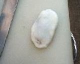 やきもち。作り方7写真