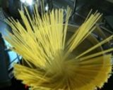 スパイシーナポリタン作り方8写真