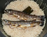 岩魚ごはん作り方3写真