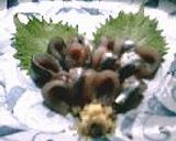 鰯づくし作り方1写真