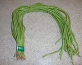 愛知産：十六ささげのごま和え作り方1写真