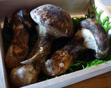 松茸ごはん作り方1写真