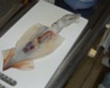 自家製いかの一夜干し作り方1写真