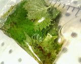 ✿大葉の消費に❀オリーブ醤油漬け✿作り方2写真