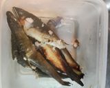 鮎ごはん作り方11写真
