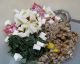 納豆ギョーザ作り方2写真