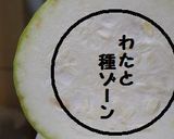 ちゅる～んとろ～ん　夕顔と鶏の煮物作り方10写真