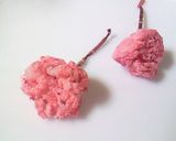 美味しい✿桜✿香味アイス作り方11写真