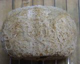 HB夏の室温31℃フランスパン風食パン 作り方4写真
