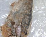 鱈棒鮨作り方8写真