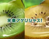 にゃんデリ特製ヨーグルトソース！作り方6写真