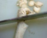 醤油とチーズ焼しいたけ作り方4写真