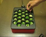 ルウで作る！ビールに合うカレーたこ焼き作り方9写真