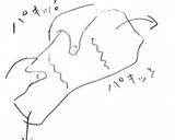 豚生姜焼き！☆簡単安い編☆作り方3写真