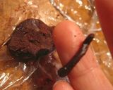 独逸◆お菓子の家　ヘクセンハウス魔女の家作り方35写真