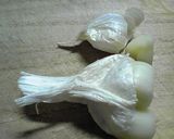 臭い抑えて、皮むきも簡単なにんにく作り方2写真