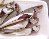 丸ごと食べよう!!鯵(あじ)の南蛮漬け作り方3写真