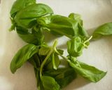 ガパオ ライス　タイ料理 基本レシピ作り方8写真