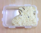 【お弁当】　☆ウッドストック弁当☆作り方5写真