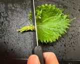 大葉好きにはたまらない爽やか大葉のサラダ作り方1写真