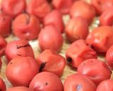 自家製梅干し♪作り方15写真