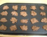 超お手軽★チョコレートクッキー作り方6写真