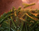 ペペロンささげ作り方15写真