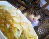 猫さんのネコネコデコカレー♪最上級簡単作り方7写真