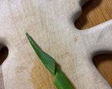 ニョキっとオクラ作り方4写真