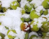 ✿ 塩分控えめ♪ 梅干し ✿作り方2写真