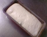 ディンケル（スペルト）100％食パン！作り方7写真