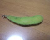 枝豆の味噌汁（呉汁）作り方1写真