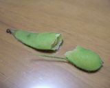 枝豆の味噌汁（呉汁）作り方2写真