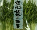 空芯菜の芽とアボガドのイタリアン風サラダ作り方3写真