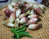 茗荷と青唐辛子の醤油漬作り方1写真