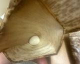 結構、力の入った中華ちまき作り方9写真