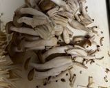 簡単　鶏むね肉の和風きのこあんかけ作り方2写真