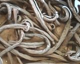 干しぜんまいの戻しかた作り方5写真