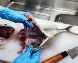 すっごい丁寧！三枚おろし 市場より作り方4写真