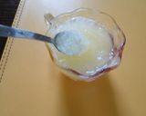 簡単!!アップルジュースで作るグラニテ作り方3写真