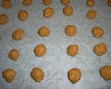 1枚１０kcal　簡単ダイエットクッキー作り方10写真