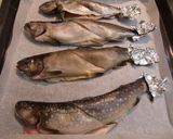 冷凍されたアマゴ！を使って＜塩焼き＞♪作り方4写真